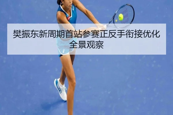 樊振东新周期首站参赛正反手衔接优化全景观察